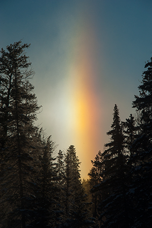 yelw13_sundog6225bh300