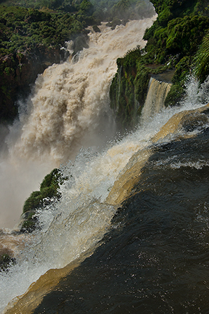 There is amazing action at the brink - I wish everyone could see these images full sized to really appreciate the detail!© 2013 Bob Harvey