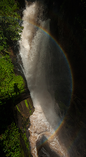 A vertical rainbow - with the shadow of the photographer.© 2013 Bob Harvey