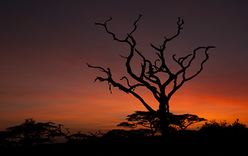 tz13_sunrise3328dk500