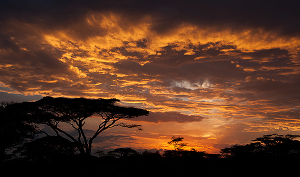 tz13_sunrise3486dk600