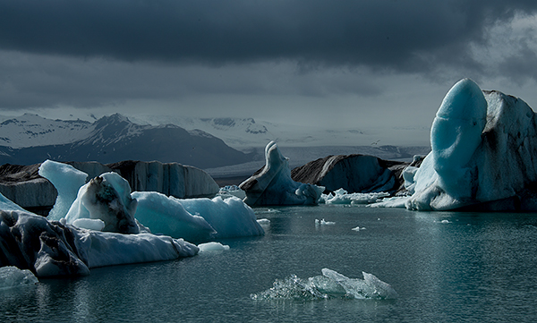 Lagoon filled with icebergs©2013 Bob Harvey