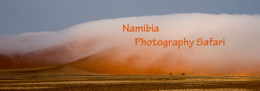Namibia Photography Safari with Nature Photography Adventures