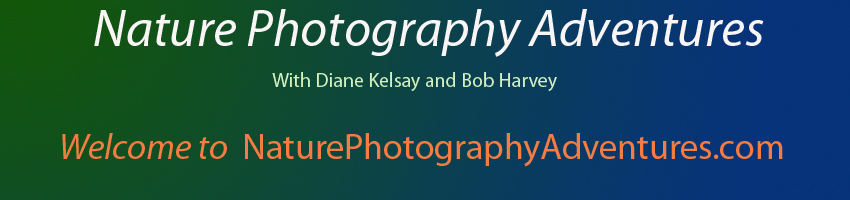 Nature Photography Adventures, carefully planned tours, safaris, and workshops to great natural and cultural destinations, designed for nature photographers by nature photographers