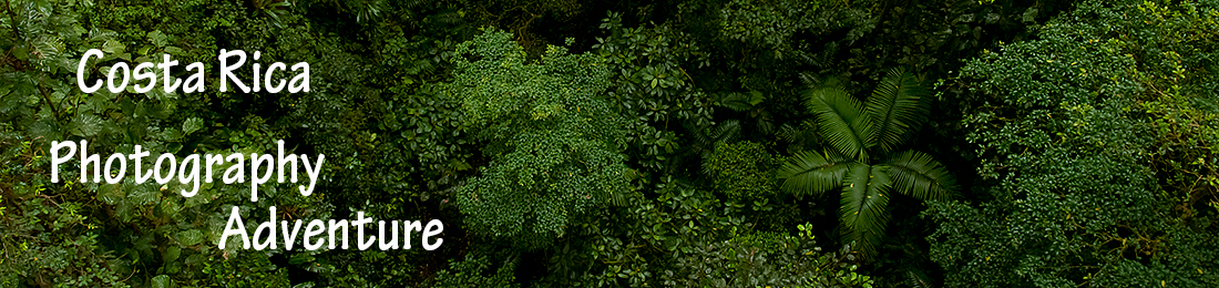 Costa Rica Photography Adventure with Nature Photography Adventures